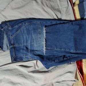 Torrid Boyfriend Crop